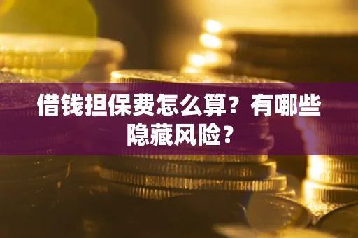 武汉借钱担保费怎么算？有哪些隐藏风险？