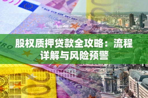 武汉股权质押贷款全攻略：流程详解与风险预警
