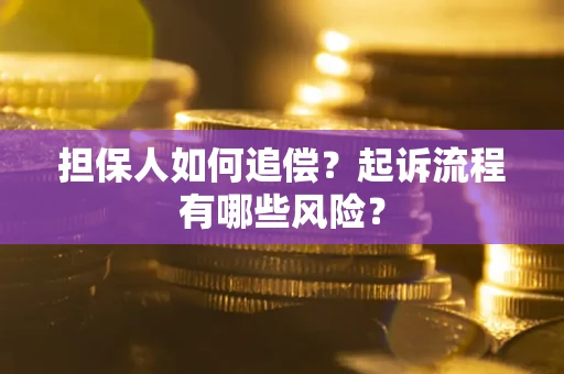 武汉担保人如何追偿？起诉流程有哪些风险？