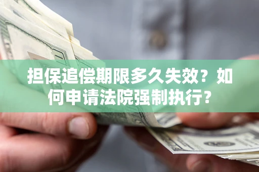 武汉担保追偿期限多久失效？如何申请法院强制执行？
