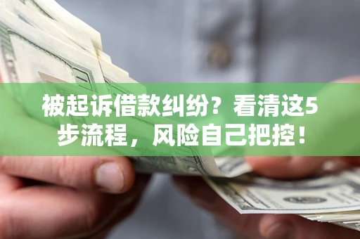 武汉被起诉借款纠纷？看清这5步流程，风险自己把控！