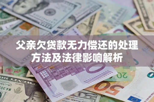 武汉父亲欠贷款无力偿还的处理方法及法律影响解析