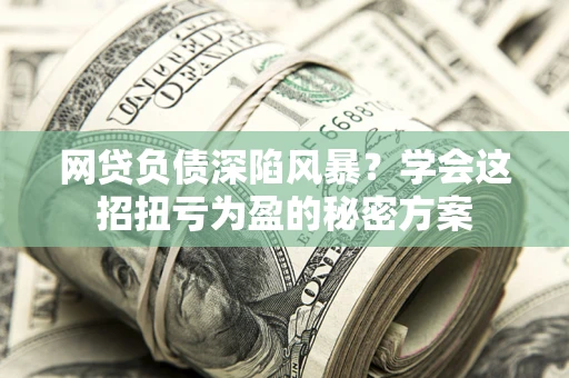 武汉网贷负债深陷风暴？学会这招扭亏为盈的秘密方案